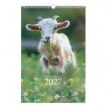 Календарь на гребне с ригелем 2027г, 30х45см, BRAUBERG, Символ года, 118384 Календарь на гребне с ригелем 2027г, 30х45см, BRAUBERG, Символ года, 118384