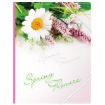 Папка на резинке Berlingo "Spring Flowers" А4, 550мкм, рисунок