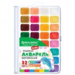 Краски акварельные BRAUBERG KIDS NEW, медовые, 32 цв, квадратные кюветы, пластиковый пенал, 192799 Краски акварельные BRAUBERG KIDS NEW, медовые, 32 цв, квадратные кюветы, пластиковый пенал, 192799