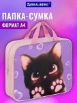 Папка на молнии с ручками BRAUBERG А4, 1 отделение, полиэстер, 80 мм, Кошачьи лапки, 273300 Папка на молнии с ручками BRAUBERG А4, 1 отделение, полиэстер, 80 мм, Кошачьи лапки, 273300