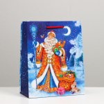 Пакет подарочный "Дед Мороз с подарками", 26 х 32 х 12 см