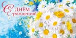 Конверт для денег "С Днем рождения! Ромашки" (букет ромашек) Конверт для денег "С Днем рождения! Ромашки" (букет ромашек)