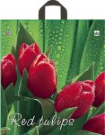 Пакет ТЮЛЬПАНЫ 40х44+3 (35мкм) ПВД, ТИКО; Красный тюльпан