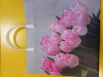 ссс Сумочка из мягкого пластика (30х30х10) Розовый букет ссс Сумочка из мягкого пластика (30х30х10) Розовый букет