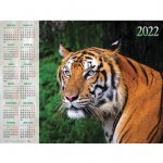 Календарь настенный листовой, 2022г, формат А1 90х60см, Год тигра, HATBER, Кл1_25151