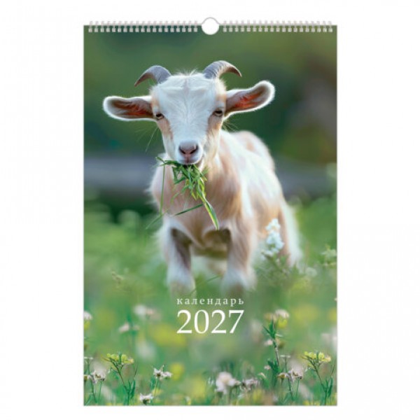купить Календарь на гребне с ригелем 2027г, 30х45см, BRAUBERG, Символ года, 118384 в Тамбове