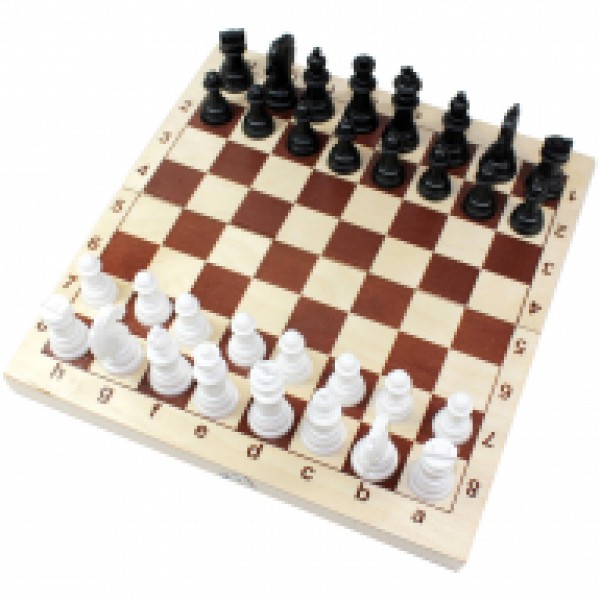 купить Игра настольная Шахматы и шашки Десятое королевство походные пластиковые, с деревянной доской 29*29см в Тамбове