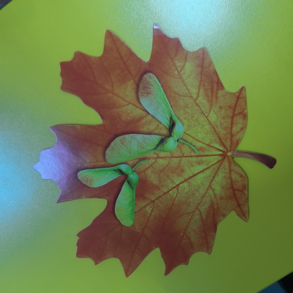 купить Украшение на скотче "Лист Клена оранжевый" 3001263 (1 шт) в Тамбове