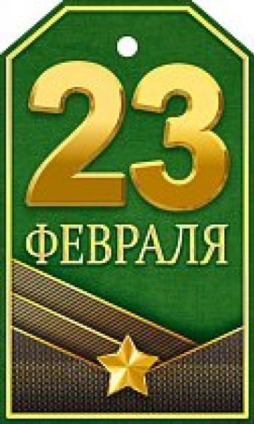 купить Бирка 23 февраля П23.309 в Тамбове