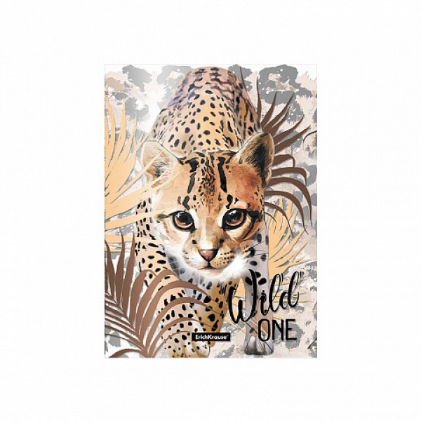 купить Папка-уголок пластиковая ErichKrause® Wild Cat, A4 в Тамбове