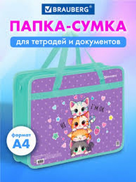 купить Папка на молнии с ручками BRAUBERG А4, 1 отделение, пластик, 80 мм, Funny kittens, 273368 в Тамбове