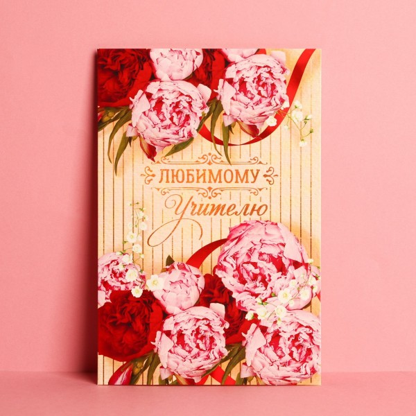 купить Открытка «Любимому учителю» пионы, 12 × 18 см 4169718 в Тамбове