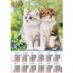 Календарь 2022 листовой А2 лак 2 котенка